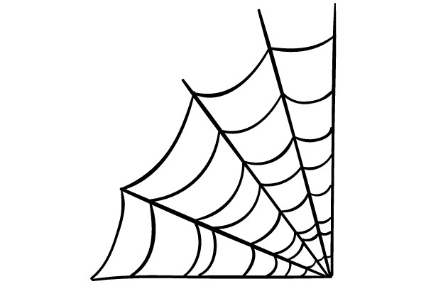 Spider Web Diagram