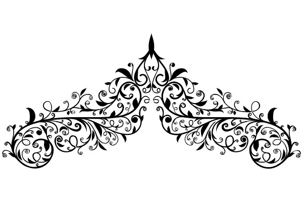 Ornament 563: An Elegantly Flourished Vintage Decorative Frame