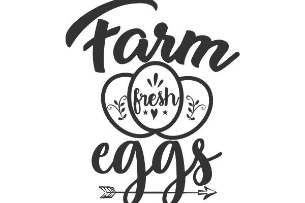 Farm Fresh Eggs
