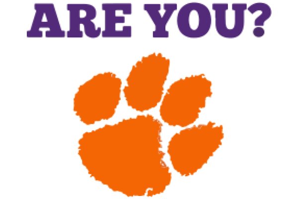 Are You a Clemson Tiger Fan?
