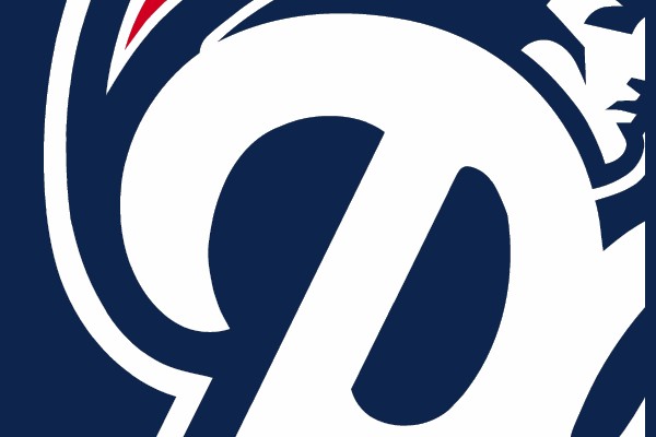 New England Patriots Logo