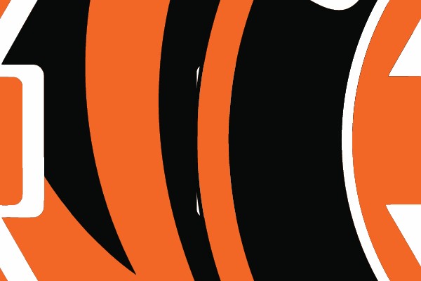 Cincinnati Bengals Logo