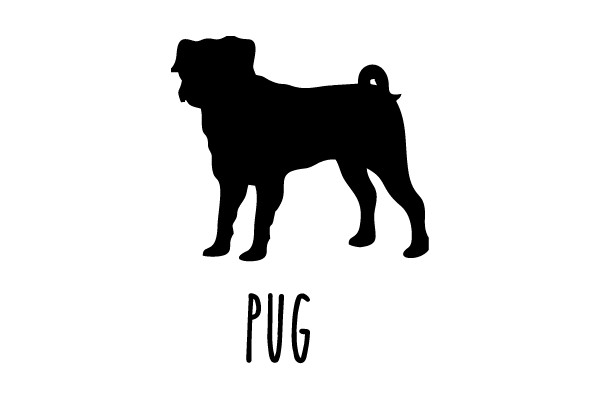 Pug