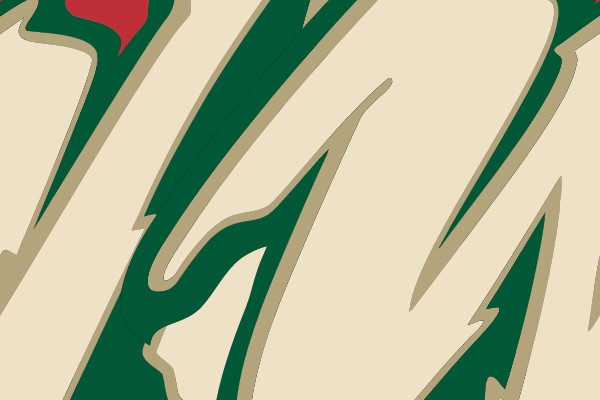 Minnesota Wild NHL Hockey