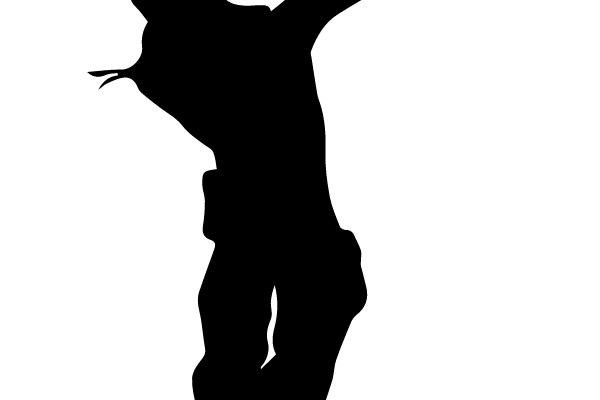 Silhouette of a Dancer