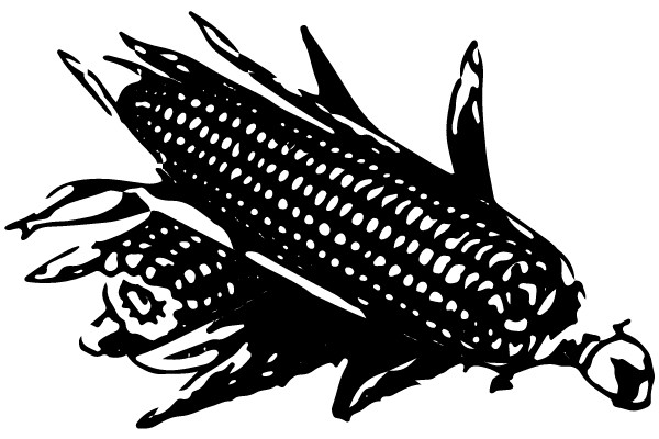Corn on the Cob