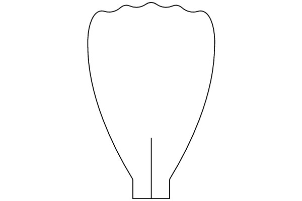 Simplified Line Drawing of a Vase