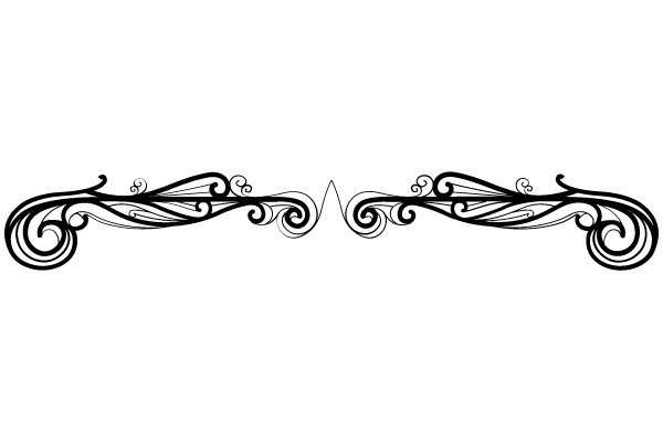 Classic Elegance: The Artistic Flourishes of the Border 46 Design