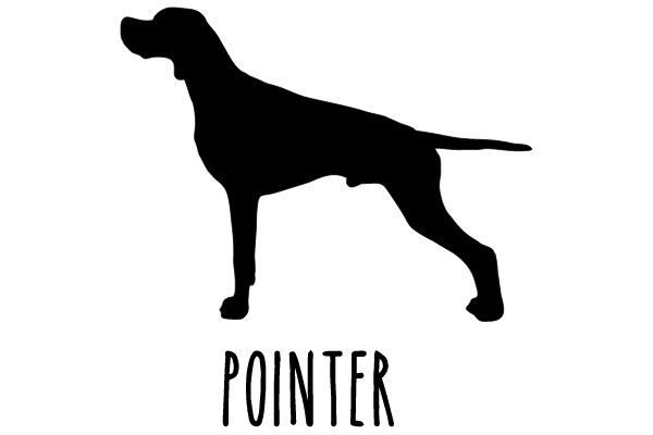 Pointer