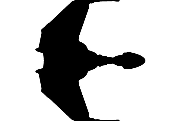 Silhouette of a Flying Creature