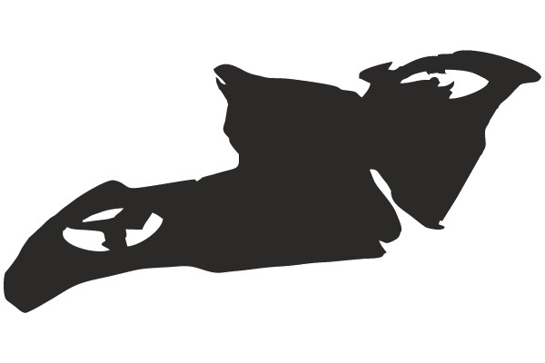 Silhouette of a Bat