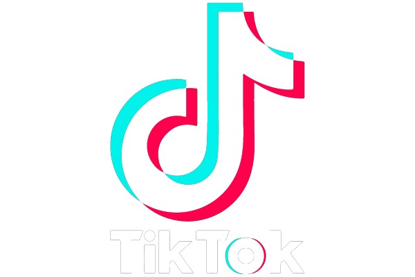 TikTok Logo