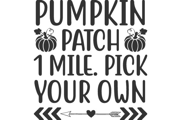 Pumpkin Patch 1 Mile. Pick Your Own