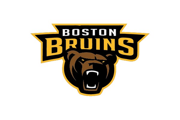 BOSTON BRUINS