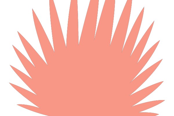 Sunburst Clipart