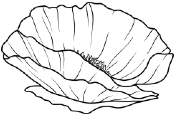A Simple Line Drawing of a Leafy Vegetable