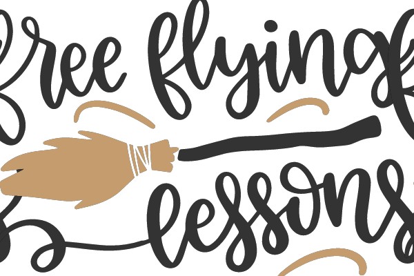 Free Flying Lessons