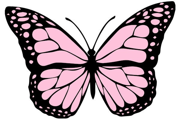 Pink and Black Butterfly