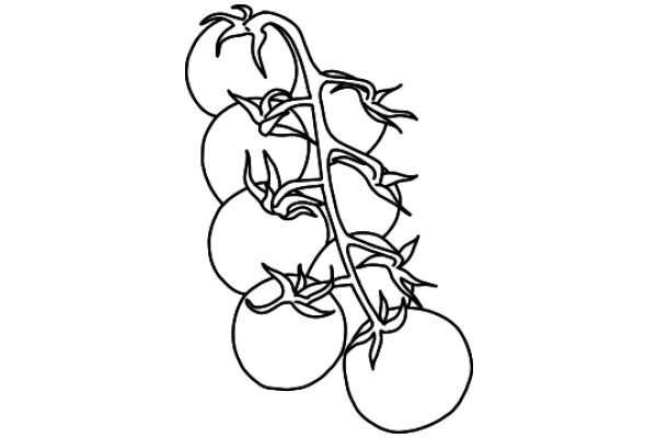 Line Drawing of a Tree with Fruit