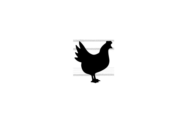 Silhouette of a Chicken