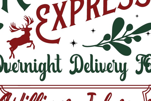 Reindeer Express: Overnight Delivery for William Johnson - Do Not Open Until Christmas
