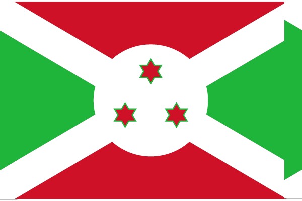 Vibrant Flag Design with Red, Green, and White Colors