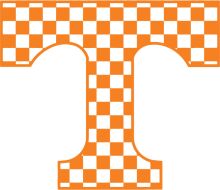 Vibrant Orange Checkered T Logo