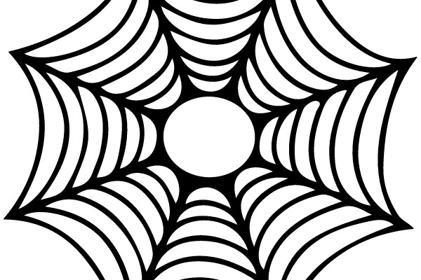 A Perfectly Symmetrical Spider Web