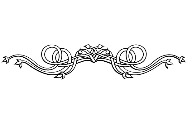 Ornate Vintage Flourish Border Design
