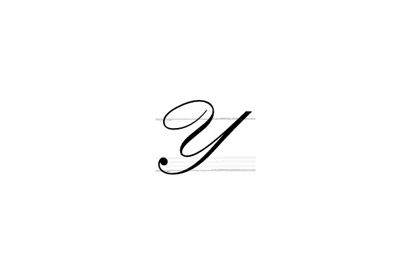 Elegant Cursive Script