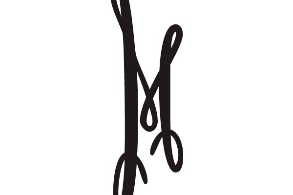 Brush Lettering Monogram