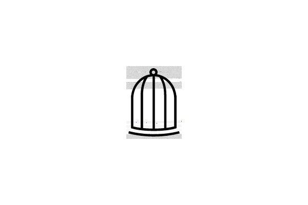 Birdcage Outline