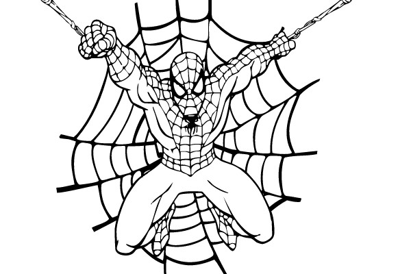 Spider-Man Spinning a Web