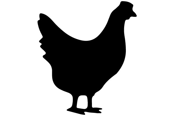 Silhouette of a Chicken
