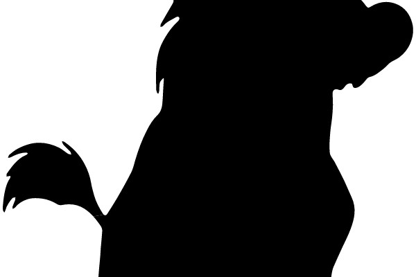 A Silhouette of a Standing Dog