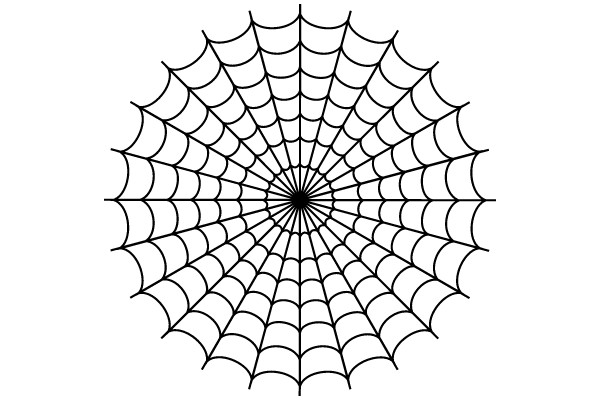 Spider Web
