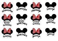 A Collection of Disney-Inspired Mickey Mouse Ears with Family Names