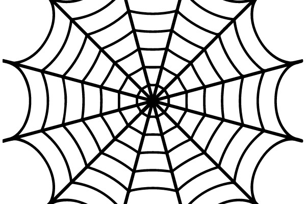 Spider Web Diagram
