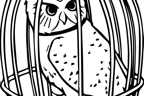 Trapped in Silence: The Owl's Captivity
