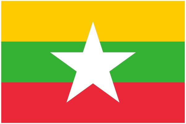 Vibrant Star on a Colorful Flag