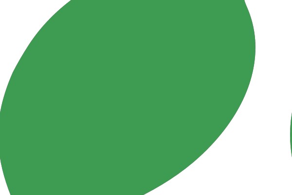 Green Leaf Icon