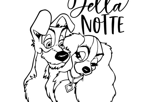 Bella Notte