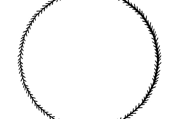 Circular Border Design