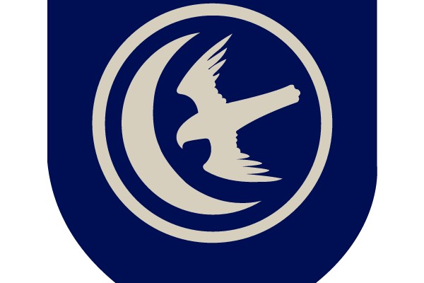 Digital Emblem Representation