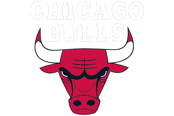 Chicago Bulls Logo