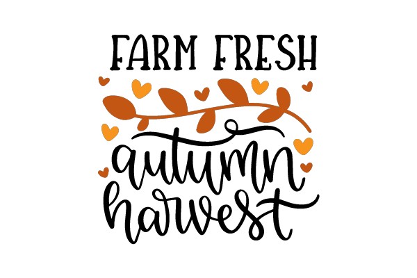 Farm Fresh Autumn Harvest