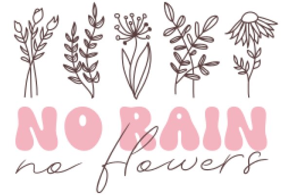 A Collection of Flower Illustrations with the Text 'No Rain No Flowers'