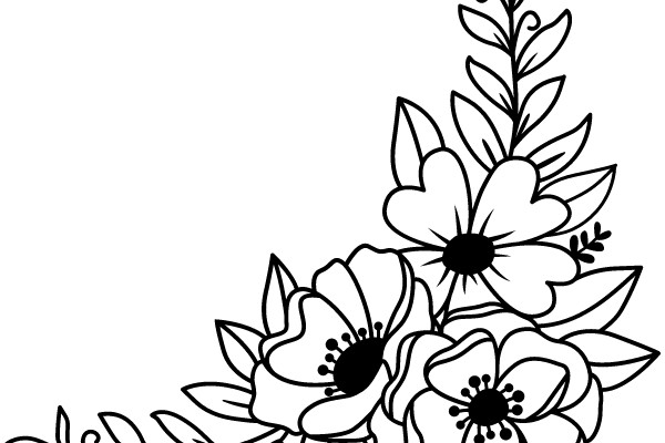 Floral Illustration
