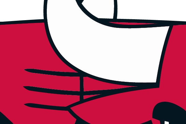 Chicago Bulls Logo