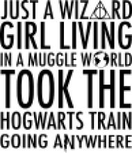A Journey Through the Magical World of Harry Potter: From a Wizard's Life to a Muggle's Adventure